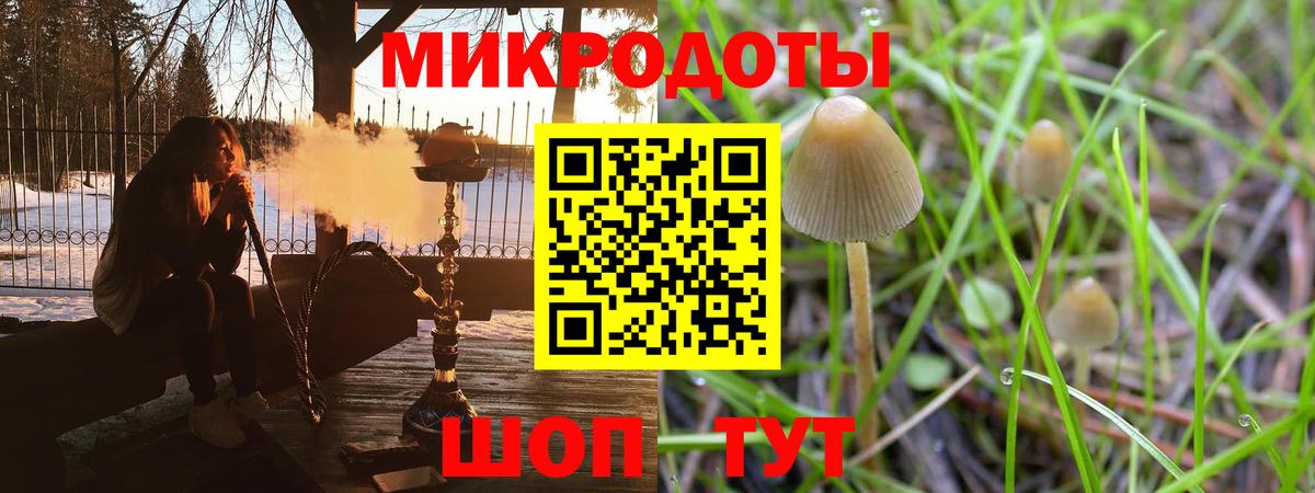 Городец  Псилоцибиновые грибы MAGIC MUSHROOMS  Псилоцибиновые грибы Cubensis  Вход с VPN 