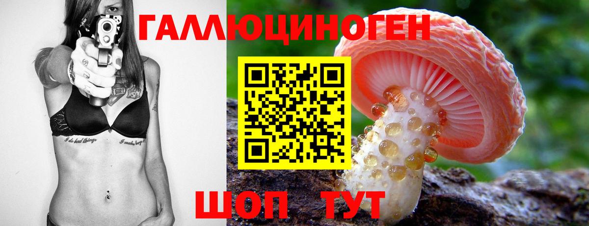 Псилоцибиновые грибы прущие грибы Городец